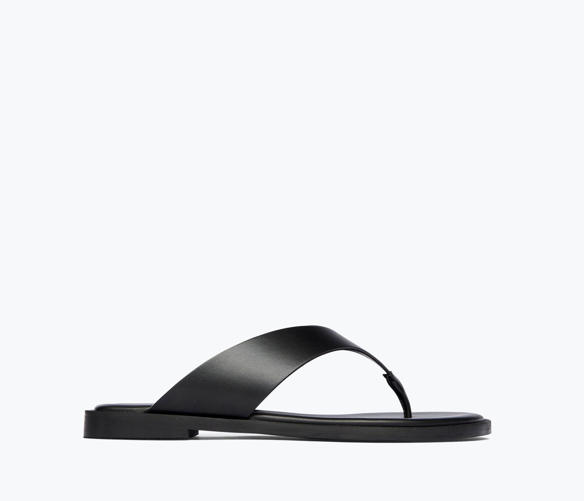 FREDA SALVADOR HALLE LEATHER THONG SANDAL