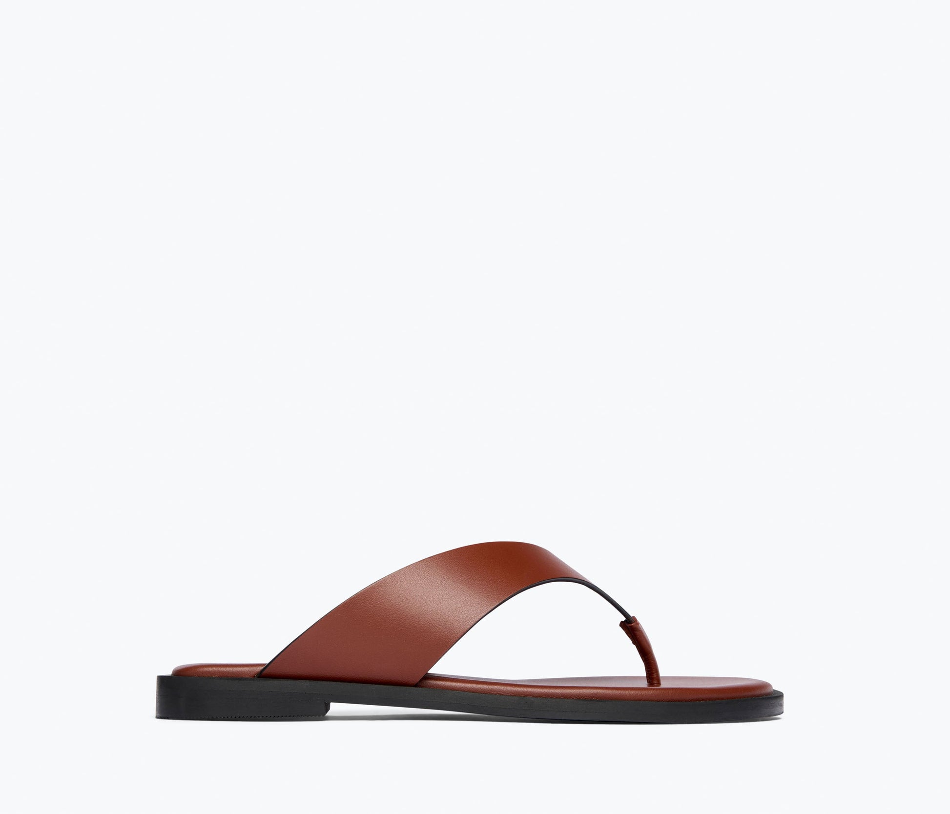 FREDA SALVADOR HALLE LEATHER THONG SANDAL