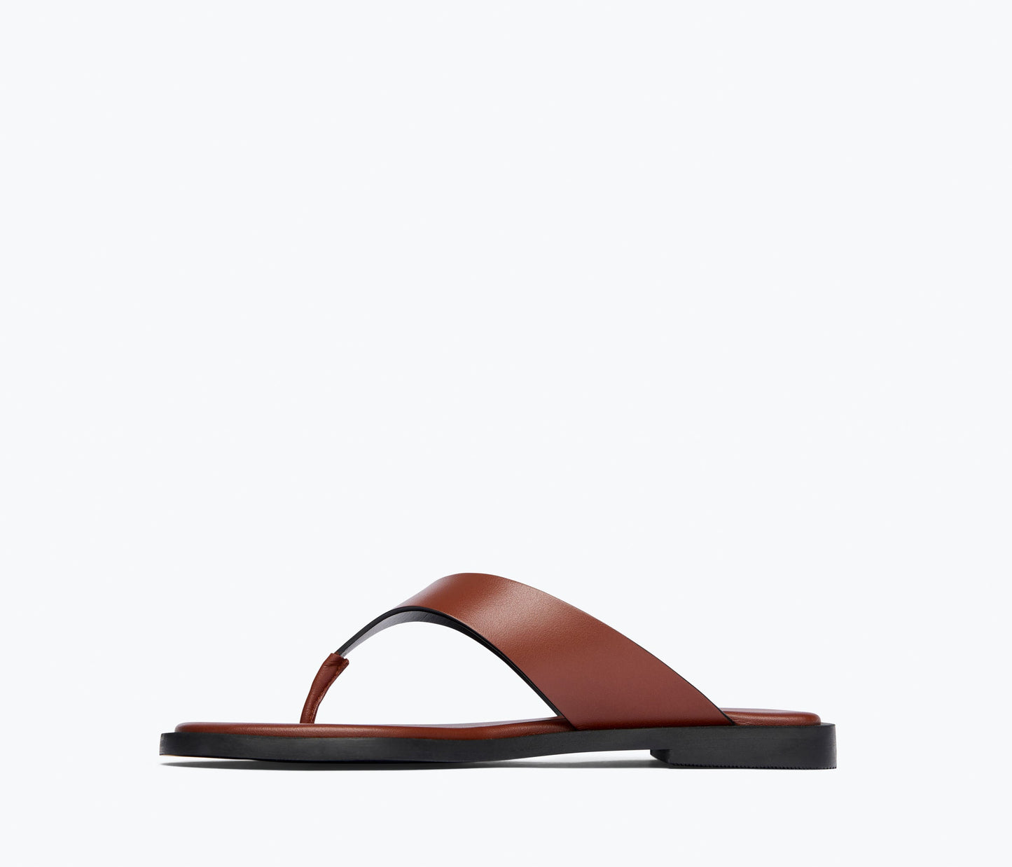 FREDA SALVADOR HALLE LEATHER THONG SANDAL