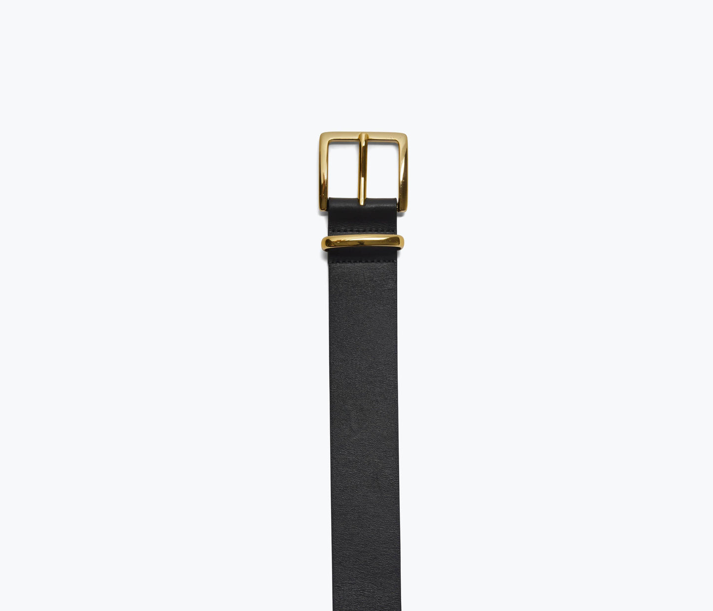 FREDA SALVADOR RANDY BELT
