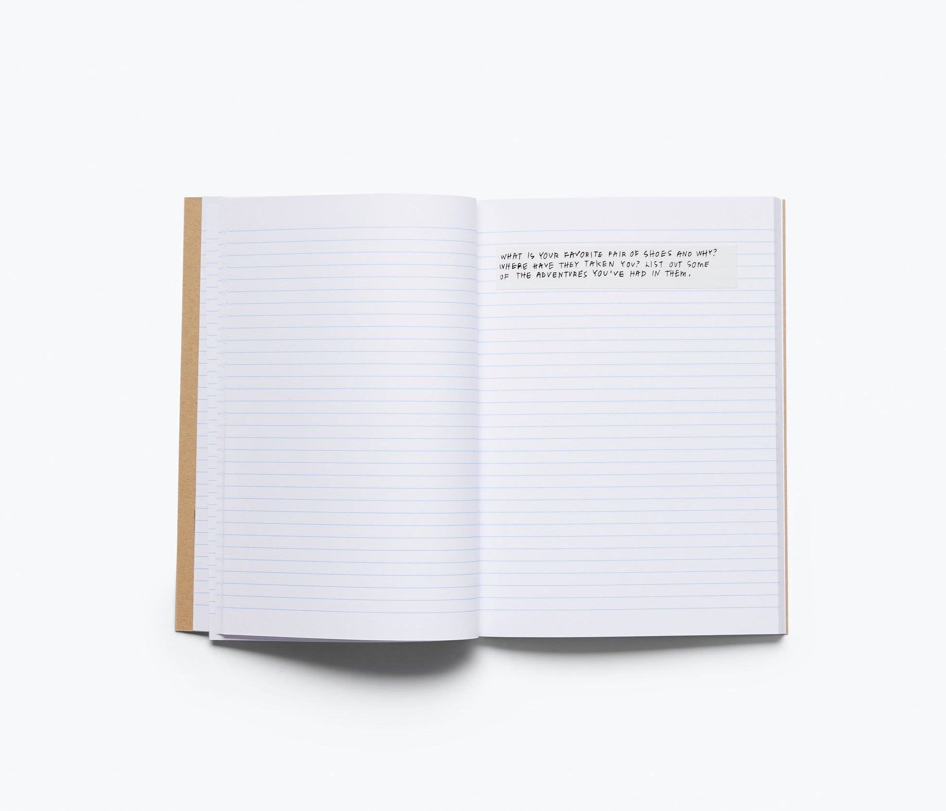 FREDA SALVADOR ALLSWELL x FREDA JOURNAL